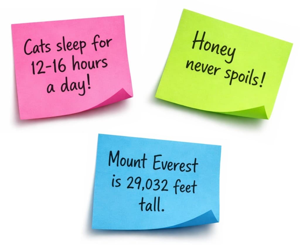 Sticky notes with handwritten facts about cats, honey, and Mount Everest
